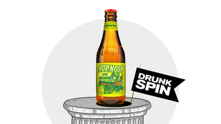 Even Utah Is Drowning In Great Beer